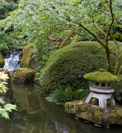 Mantenimiento y conservación de jardines, comunidades, etc.