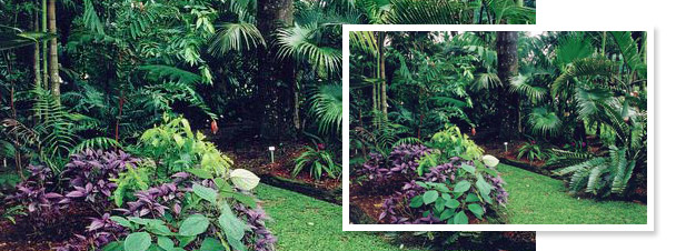 Diseño y mantenimiento de jardines- Jardineria portal de Gamarra